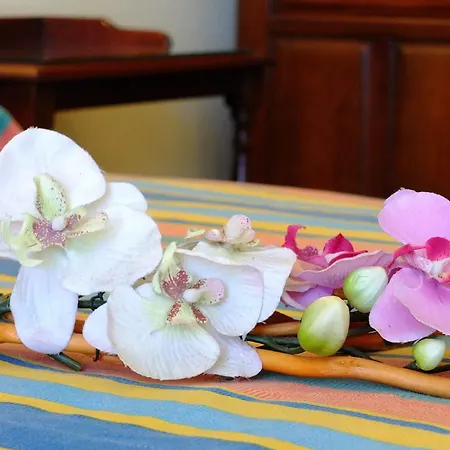 Palme & Ξενοδοχείο